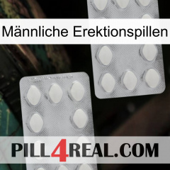 Männliche Erektionspillen 17